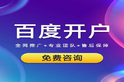 SEM托管公司案例分析：实战技巧全解析